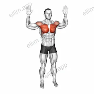 Bodyweight Standing Fly exercise targeting Chest and Pectoralis Major Clavicular Head