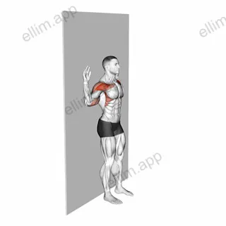 Bodyweight Standing Military Press Wall Supported exercise targeting Shoulders and Deltoid Anterior