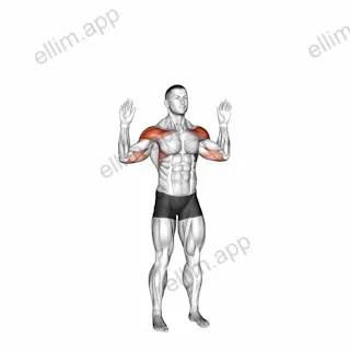 Bodyweight Standing Military Press exercise targeting Shoulders