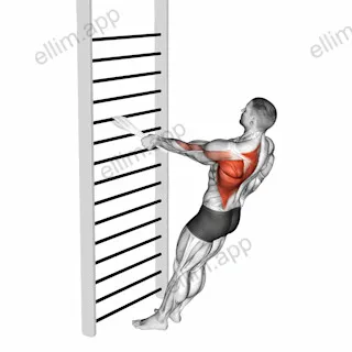 Bodyweight Standing One Arm Row (with towel) exercise targeting Back and Infraspinatus