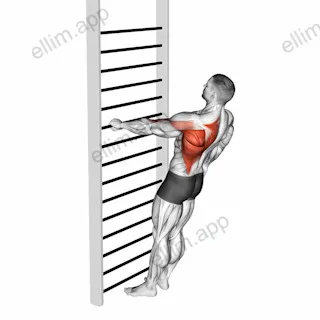 Bodyweight Standing One Arm Row exercise targeting Back and Infraspinatus
