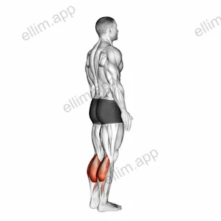 Bodyweight Standing Pulse Calf Raise exercise targeting Calves and Gastrocnemius