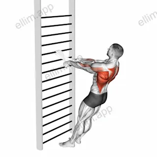 Bodyweight Standing Row (with towel) exercise targeting Back and Infraspinatus