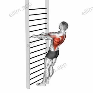 Bodyweight Standing Row exercise targeting Back and Infraspinatus