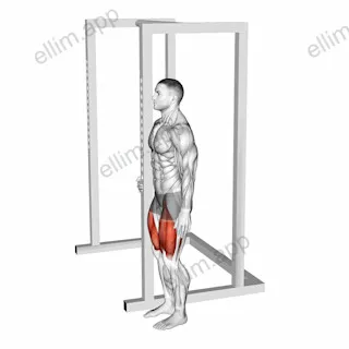 Bodyweight Standing Sissy Squat exercise targeting Thighs