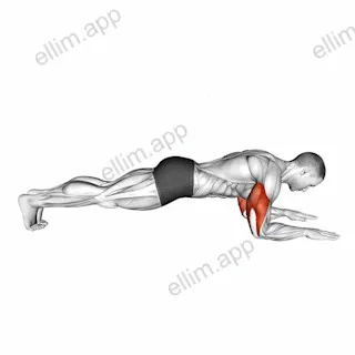 Bodyweight Triceps Extension from Plank Position exercise targeting Upper Arms