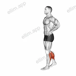 Bodyweight Walking Calf Raise exercise targeting Calves