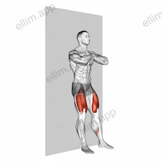 Bodyweight Wall Squat exercise targeting Thighs and Gluteus Maximus