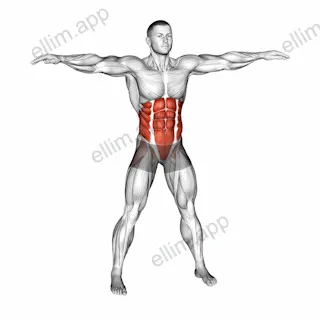 Bodyweight Windmill exercise targeting Waist and Obliques