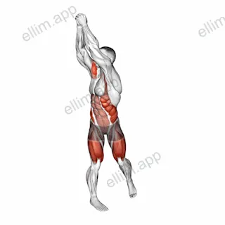 Bodyweight Wood Chop Squat exercise targeting Waist