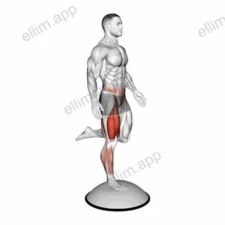 Bosu Ball Balance Counterbalanced Skater Squat exercise targeting Thighs
