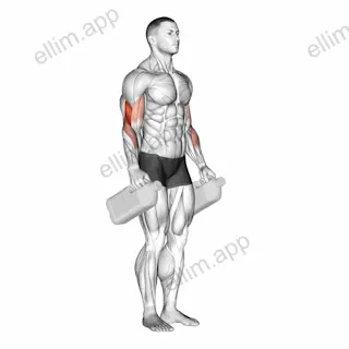 Bottle Hammer Curl exercise targeting Upper Arms and Brachialis