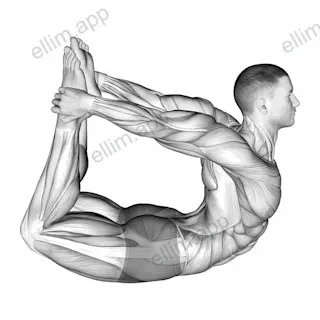 Bow Yoga Pose exercise targeting Hips and Erector Spinae