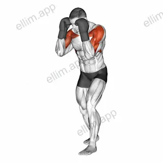 Boxing Block exercise targeting Plyometrics