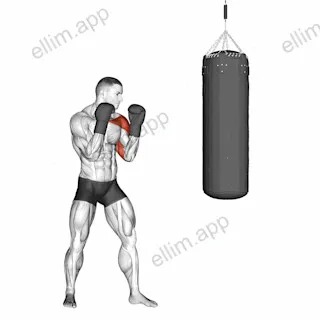 Boxing Jab (with boxing bag) exercise targeting Plyometrics