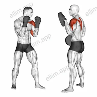 Boxing Jab (with partner) exercise targeting Plyometrics