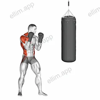 Boxing Right Cross (with boxing bag) exercise targeting Plyometrics