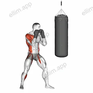 Boxing Right Hook (with boxing bag) exercise targeting Plyometrics