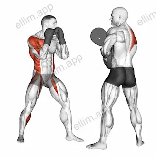 Boxing Right Hook (with partner) exercise targeting Plyometrics