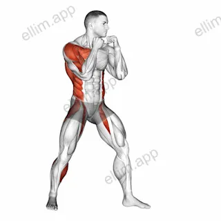 Boxing Right Hook exercise targeting Plyometrics