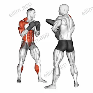 Boxing Right Uppercut (with partner) exercise targeting Plyometrics