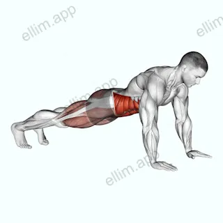 Bridge - Mountain Climber (Cross Body) exercise targeting Waist and Obliques
