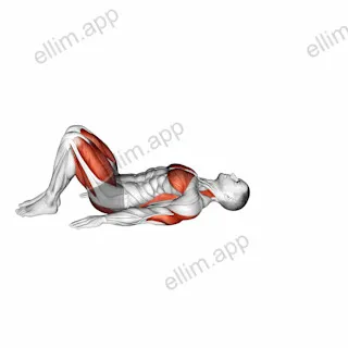 Bridge Pose Setu Bandhasana exercise targeting Yoga and Adductor Magnus