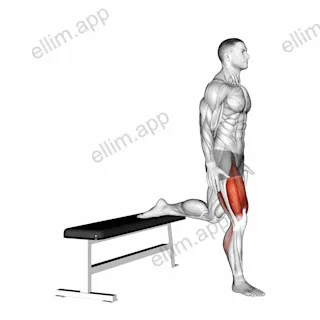 Bulgarian Jump Squat exercise targeting Thighs