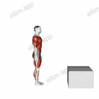Burpee Jump Box exercise targeting Plyometrics
