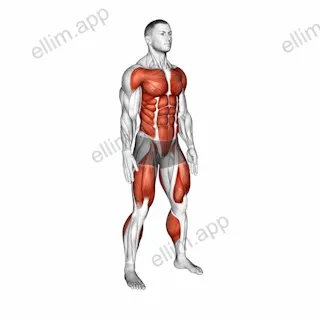 Burpee Squat exercise targeting Plyometrics