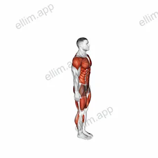 Burpee Twist exercise targeting Plyometrics