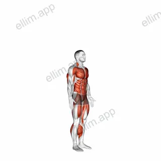 Burpee with Push-up exercise targeting Cardio