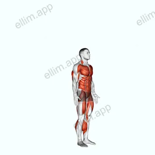 Burpee exercise targeting Cardio