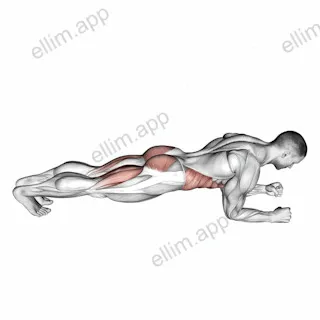 Butt ups exercise targeting Waist