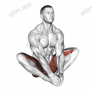 Butterfly Yoga Flaps exercise targeting Hips and Adductor Brevis