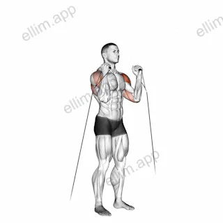 Cable Alternate Shoulder Press exercise targeting Shoulders and Deltoid Anterior
