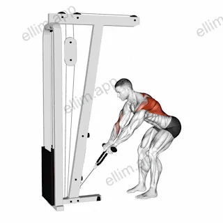 Cable Bent Over Row with Rope Attachment exercise targeting Back