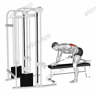 Cable Bent Over Single Arm Kickback exercise targeting Upper Arms