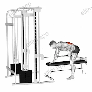 Cable Bent Over Single Arm Neutral Grip Kickback with Rope Attachment exercise targeting Upper Arms
