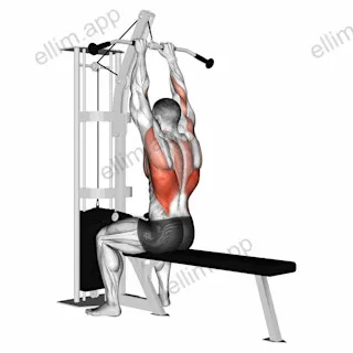 Cable Close Grip Front Lat Pulldown exercise targeting Back
