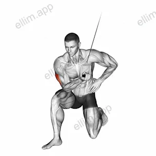 Cable Concentration Extension (on knee) exercise targeting Upper Arms and Triceps Brachii