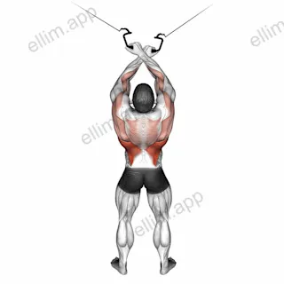 Cable Cross over Lateral Pulldown exercise targeting Back