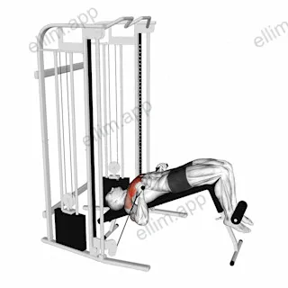 Cable Decline Press exercise targeting Chest and Pectoralis Major Sternal Head