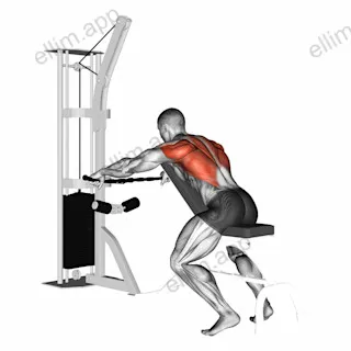 Cable Decline Seated Wide Grip Row exercise targeting Back