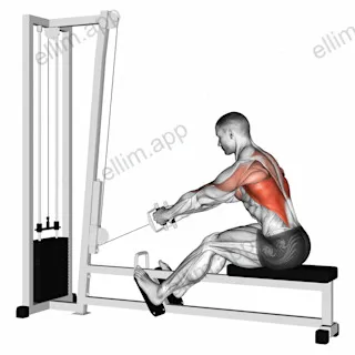 Cable Elevated Row exercise targeting Back and Latissimus Dorsi