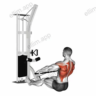 Cable Floor Seated Wide grip Row exercise targeting Back