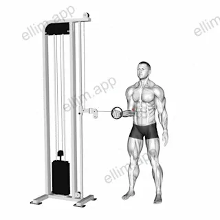 Cable Forearm Pronation exercise targeting Forearms