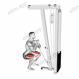 Cable Front Squat with V bar exercise targeting Thighs