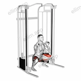 Cable Front Squat exercise targeting Thighs and Gluteus Maximus