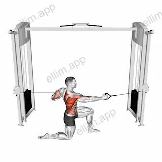 Cable Half Kneeling Push Pull exercise targeting Back
